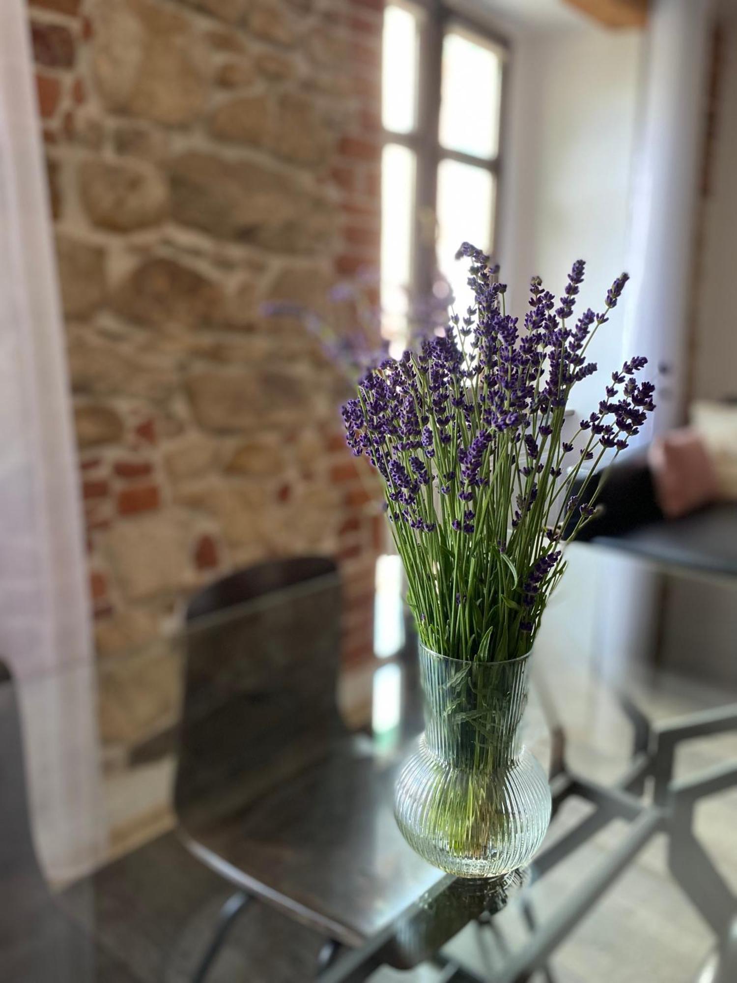 Apartament Przy Ratuszu Kłodzko Exteriör bild